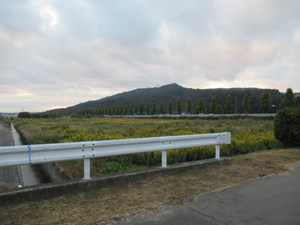 y ׎R]ށ@O̐c͎Gɖ z