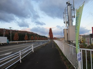 �y �R�`������]�� �z