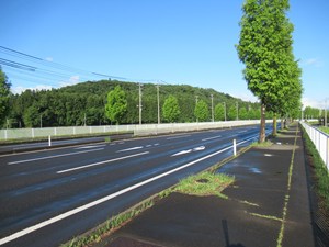 【 さわやかな緑と青空 】