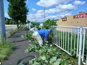 【 フェンスに絡まる雑草の刈り取り 】
